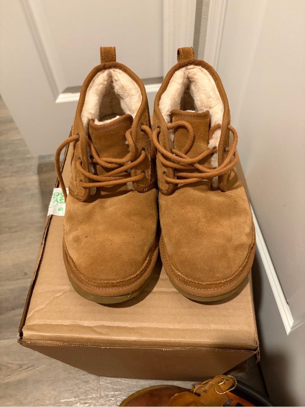 UGG Men's Suede Lace-Up Boots in Chestnut